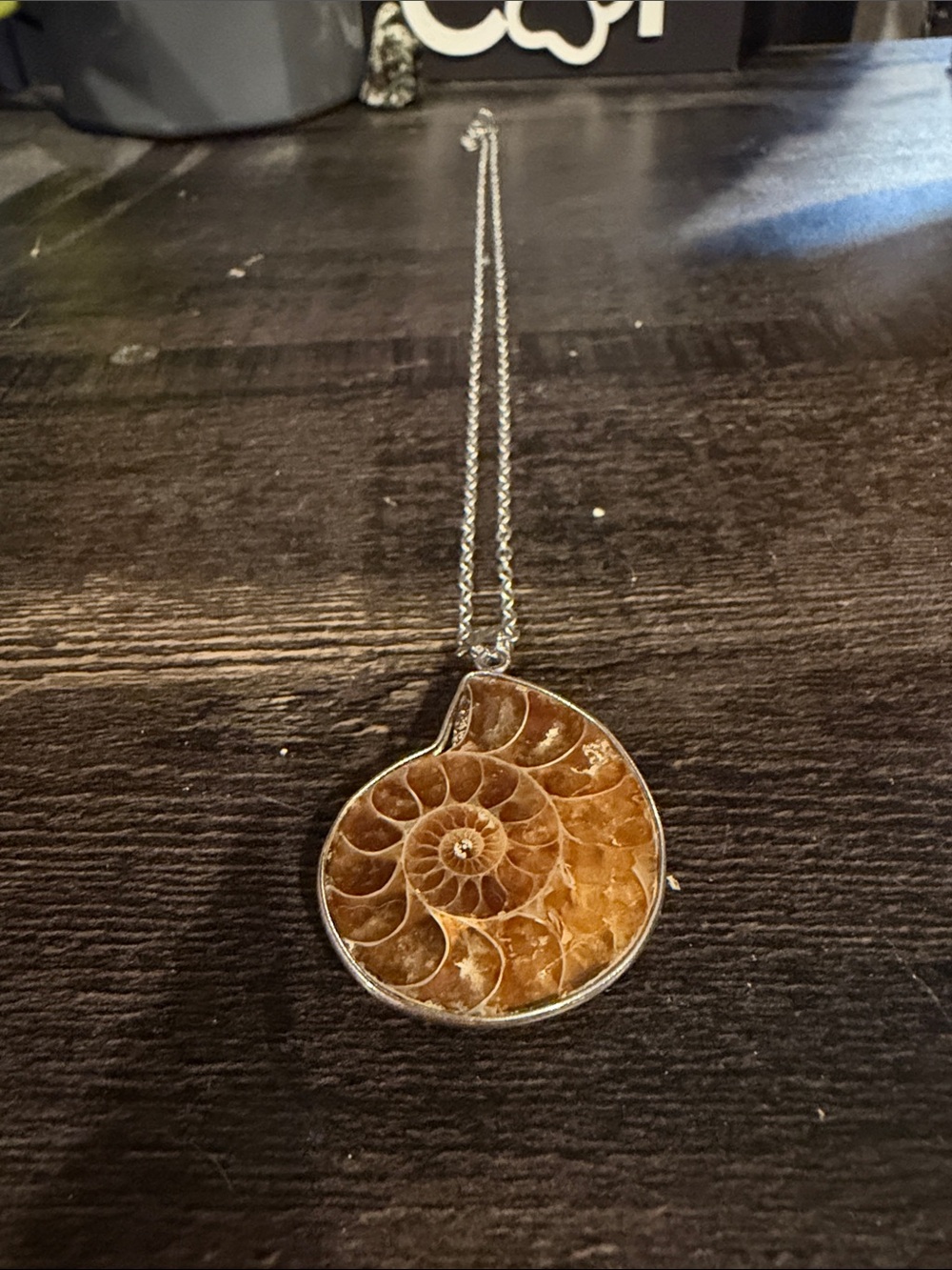 Ammonite Fossil Pendant Necklace in Brown